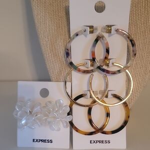 Express Women's Tortoise and Gold Hoop Earrings Set